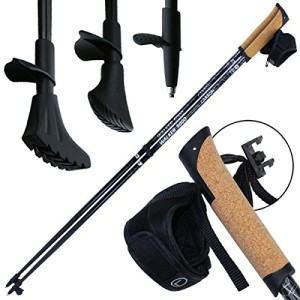 BB Sport Carbon-Nordic-Walkingstock Walker 5000 Premium Edition im Test